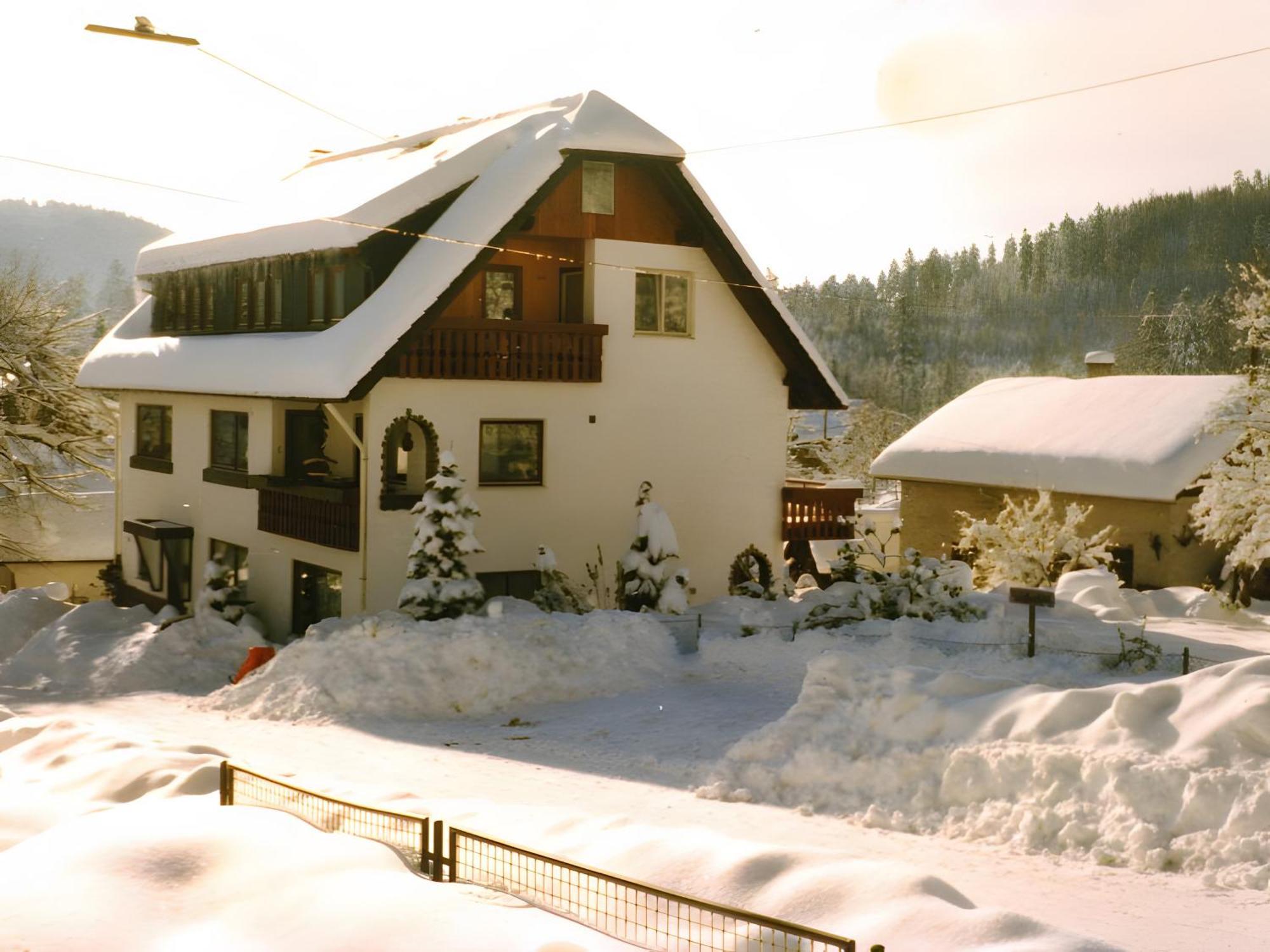 Appartamento Haus Muehlgrund Bad Wildbad Esterno foto