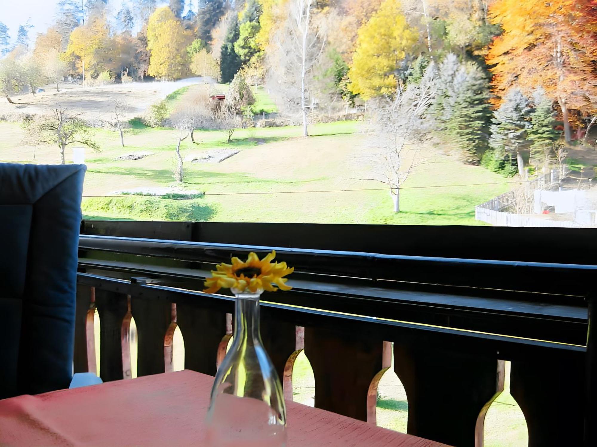 Appartamento Haus Muehlgrund Bad Wildbad Esterno foto