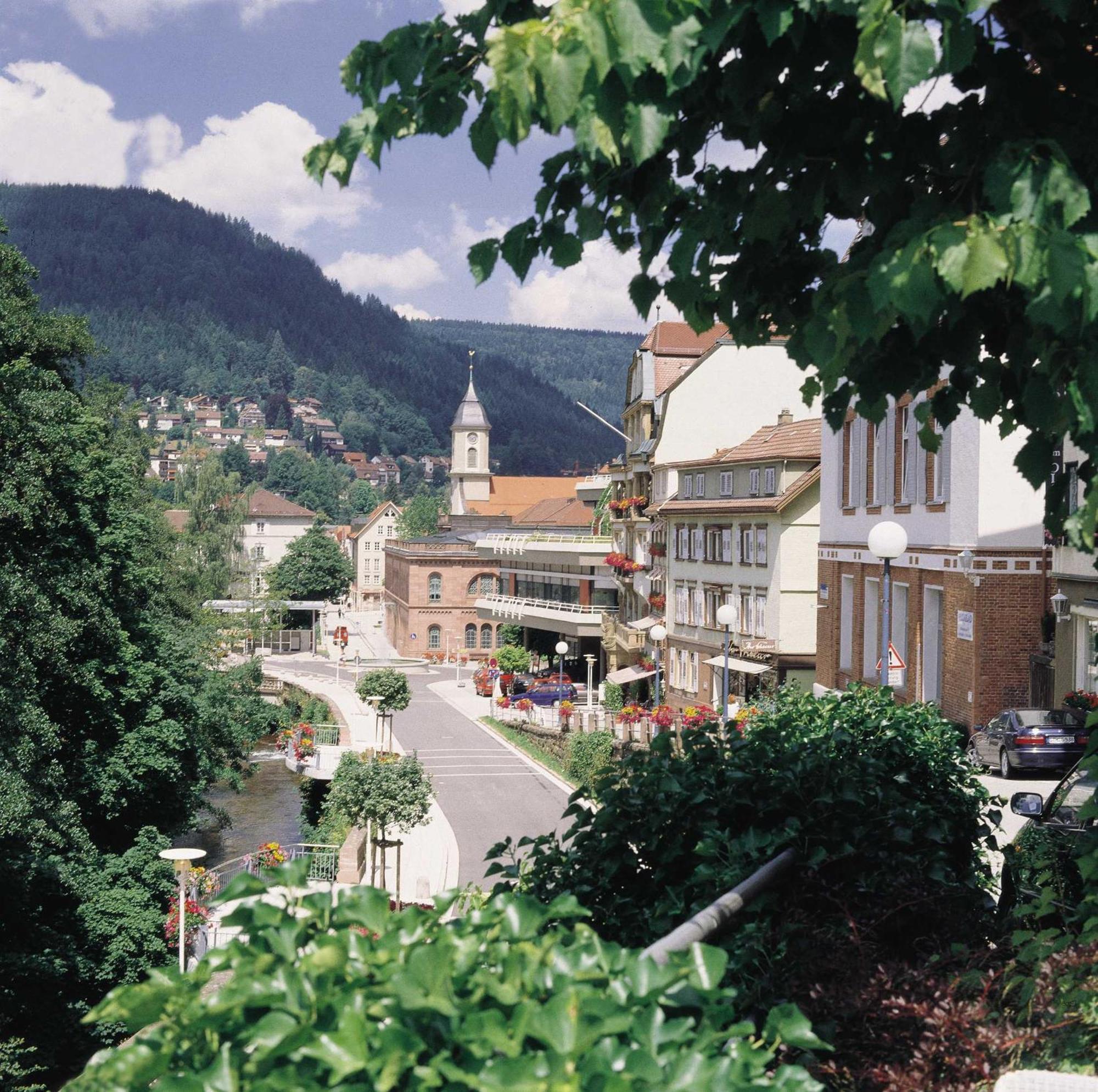 Appartamento Haus Muehlgrund Bad Wildbad Esterno foto