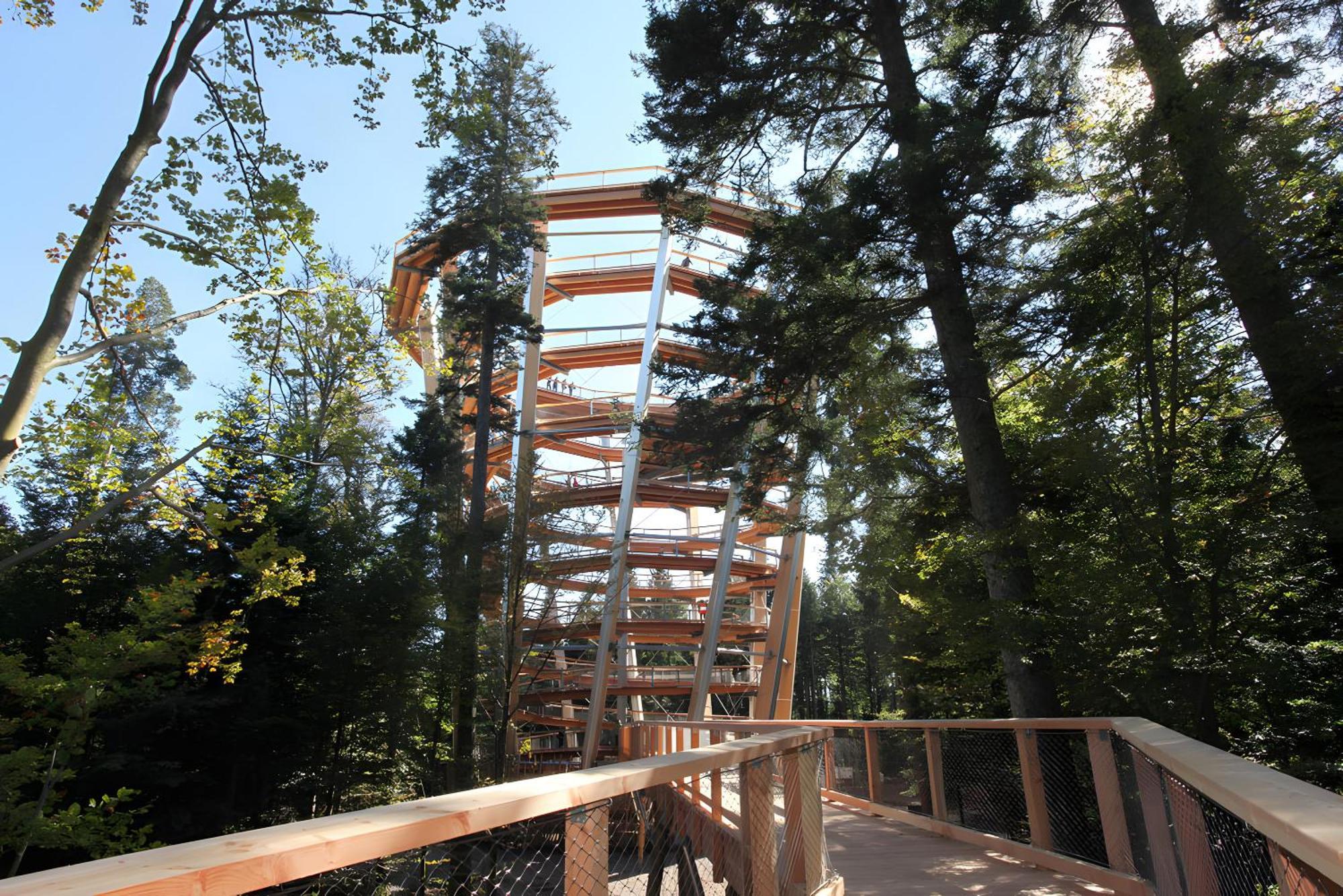 Appartamento Haus Muehlgrund Bad Wildbad Esterno foto