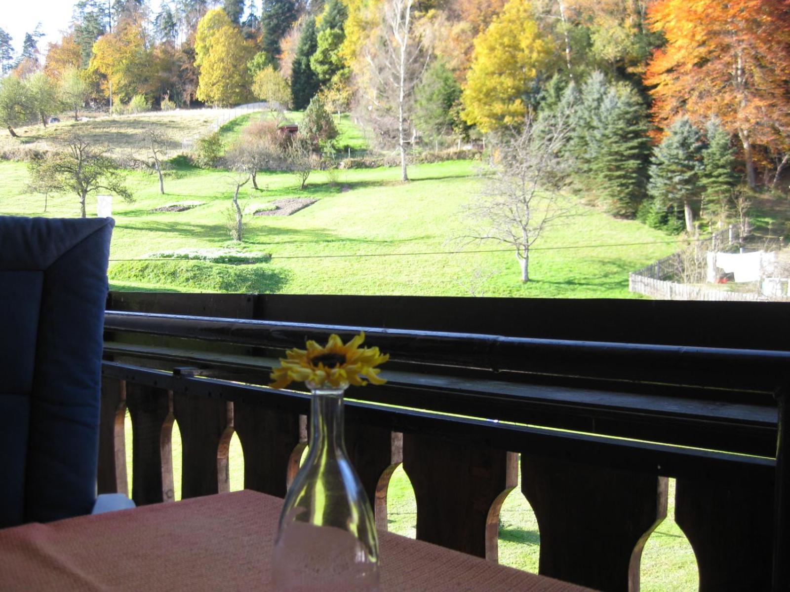 Appartamento Haus Muehlgrund Bad Wildbad Esterno foto
